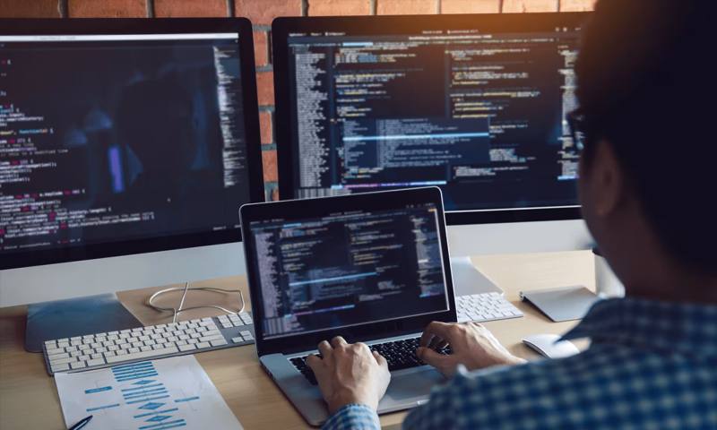 数据科学选型：R与Python如何赋能点军区网站建设？
